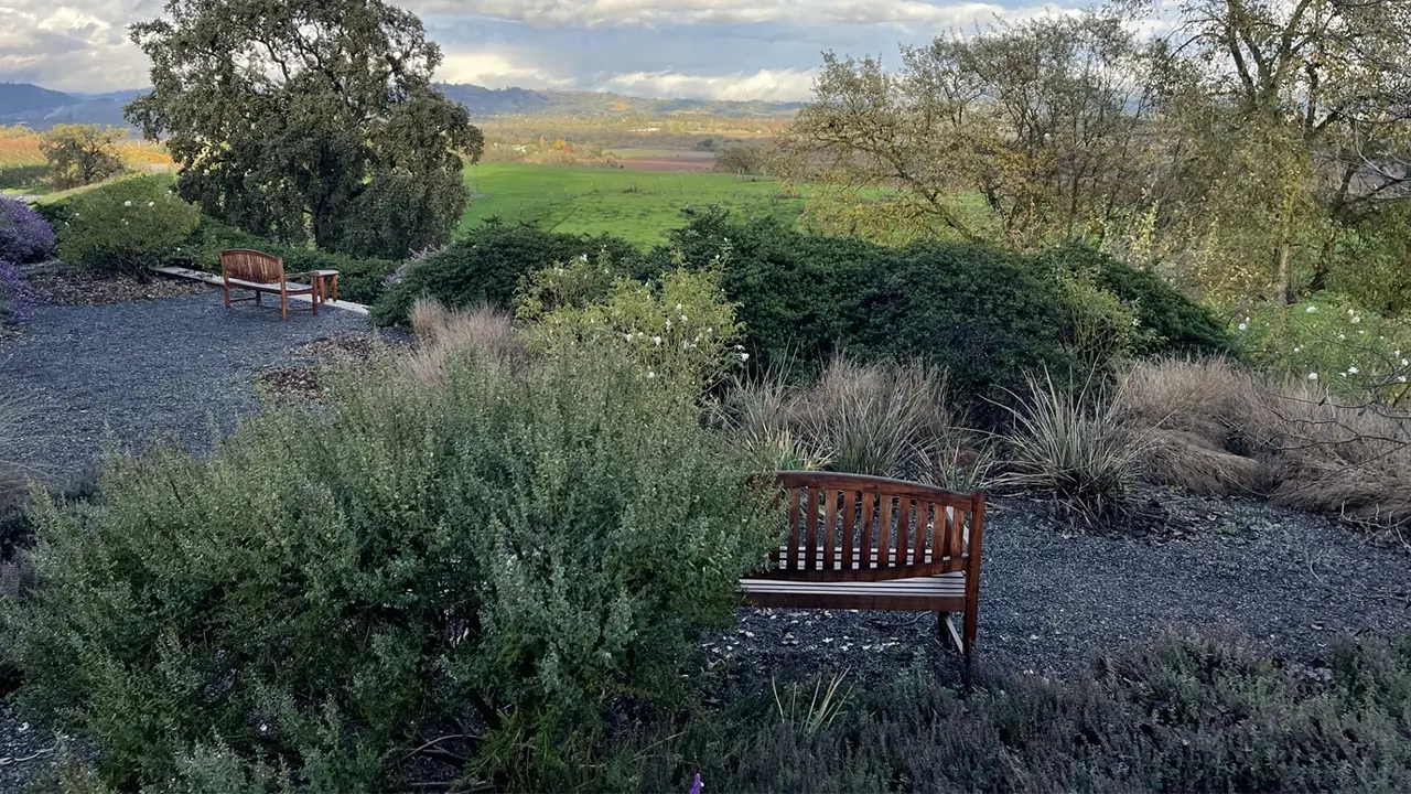 Garden of Healdsburg retreat for Be the Change in Mental Health - California