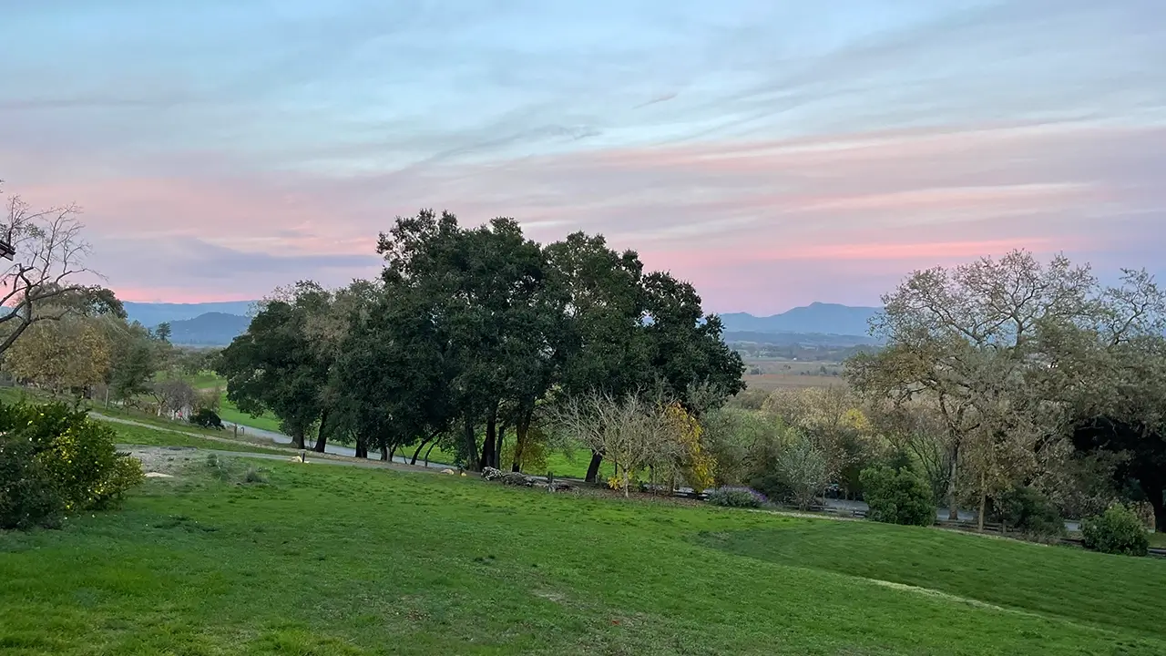 Hillside vista of the Healdsburg retreat venue, where Be the Change conducts ketamine group therapy sessions in California